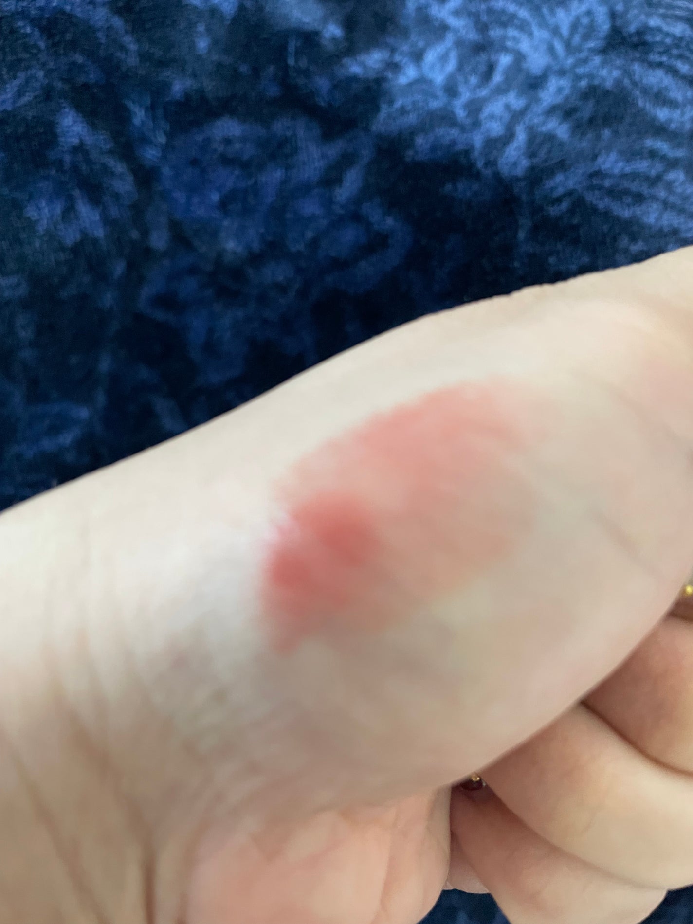 ボンディンググロウリップスティック/Laka/口紅を使ったクチコミ(3枚目)