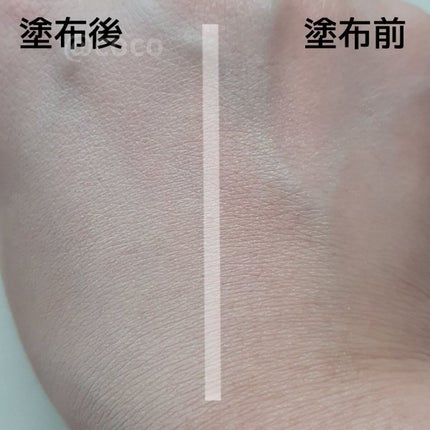 プロテーラービーベルベットカバークッション/espoir/クッションファンデーションを使ったクチコミ(4枚目)