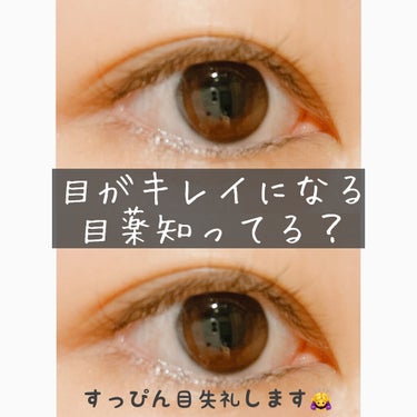 目が綺麗になる目薬！？👀


こんにちは！

テストがやっと終わったので久しぶりの投稿です！


今回は私が愛用している超激推し目薬をご紹介していきたいと思います！




私は目がよく充血してしまい、