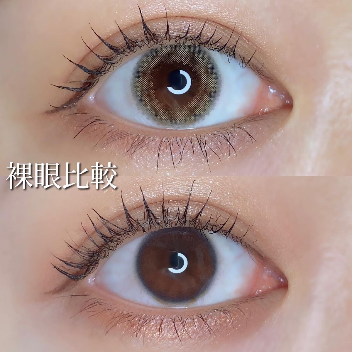 perse 1day/perse/ワンデー(1DAY)カラコンを使ったクチコミ(5枚目)