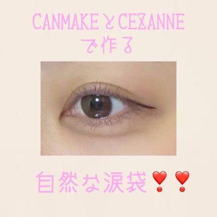 パーフェクトマルチアイズ/キャンメイク/アイシャドウパレットを使ったクチコミ(1枚目)