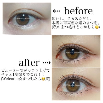 クイックラッシュカーラー ロングマスカラ/キャンメイク/マスカラを使ったクチコミ(3枚目)
