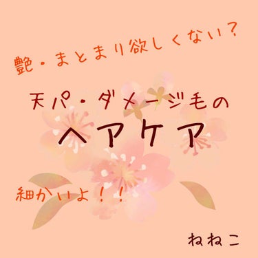 こんにちは！ねねこです。
今回は、わたしのヘアケアについて紹介したいと思います！！結構詳しく紹介していきます〜

わたしの髪質↓↓
・胸下ロング
・天然パーマ
・細くて量がおおい
・毎日ヘアアイロン&コ