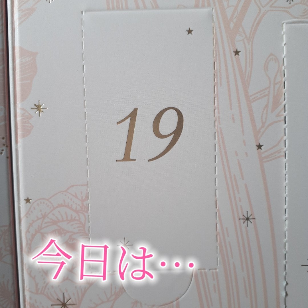 アドベントカレンダー /PEACH JOHN/その他キットセットを使ったクチコミ(2枚目)