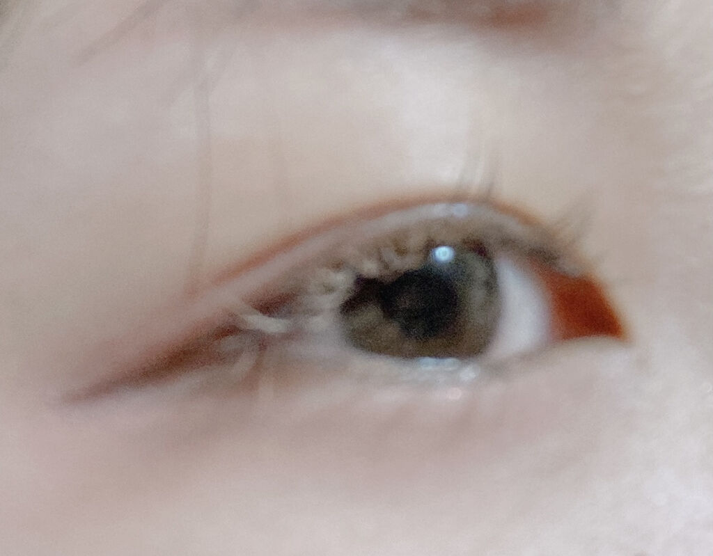 ラッシュ&アイブロウマスカラ/KIREI FACTORY/マスカラを使ったクチコミ（1枚目）