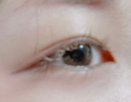 ラッシュ&アイブロウマスカラ/KIREI FACTORY/マスカラを使ったクチコミ(1枚目)