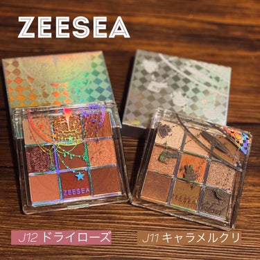 クォーツ 9色アイシャドウパレット（ドリームランドアイシャドウ）/ZEESEA/アイシャドウパレットを使ったクチコミ（1枚目）