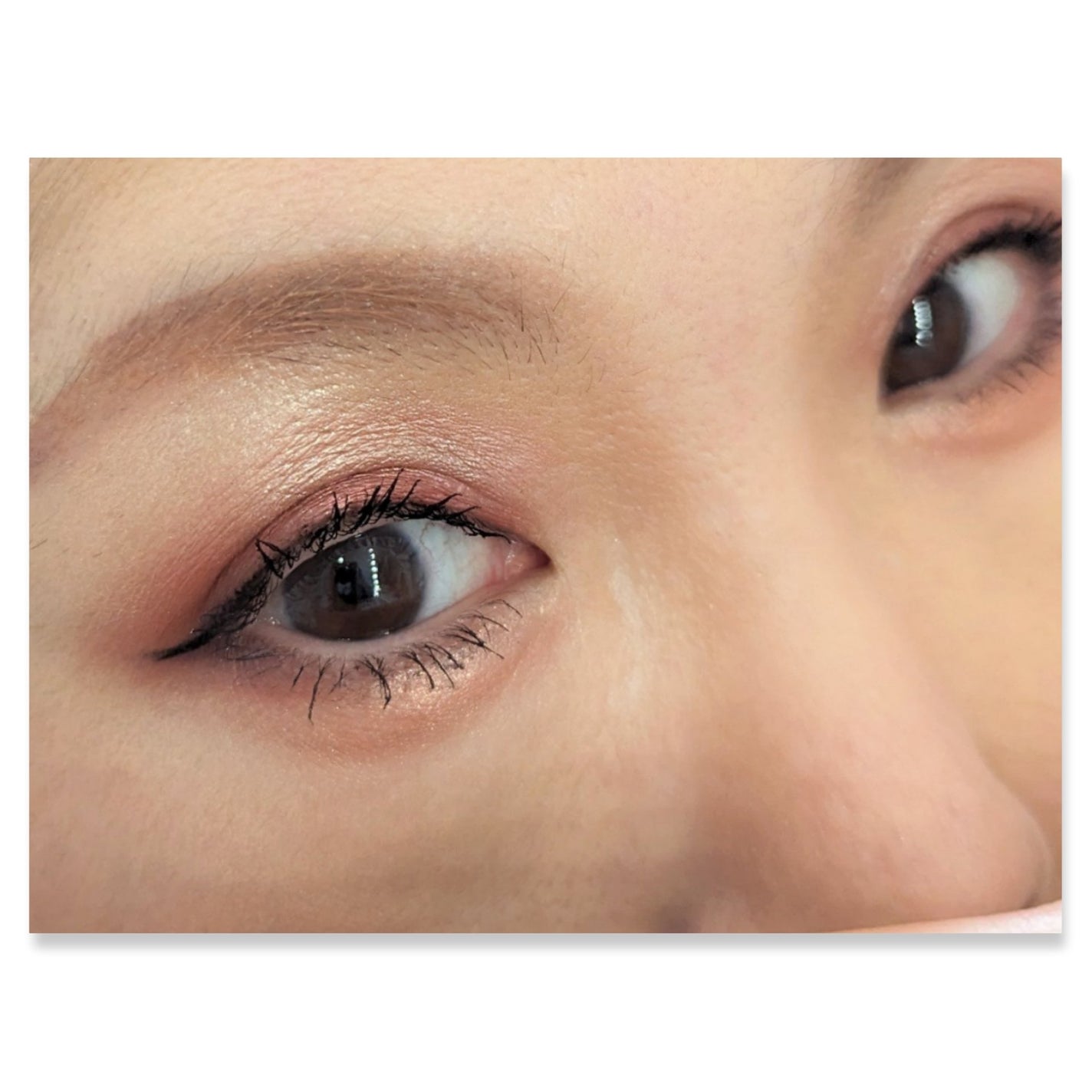 シャルマン・フルラージュ アイシャドウ/Witch's Pouch/アイシャドウパレットを使ったクチコミ(2枚目)