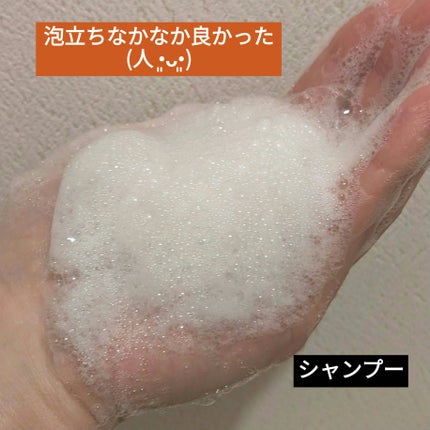オイルインシャンプー/オイルインコンディショナー (グロス&リペア)/ディアボーテ/市販シャンプーを使ったクチコミ(2枚目)