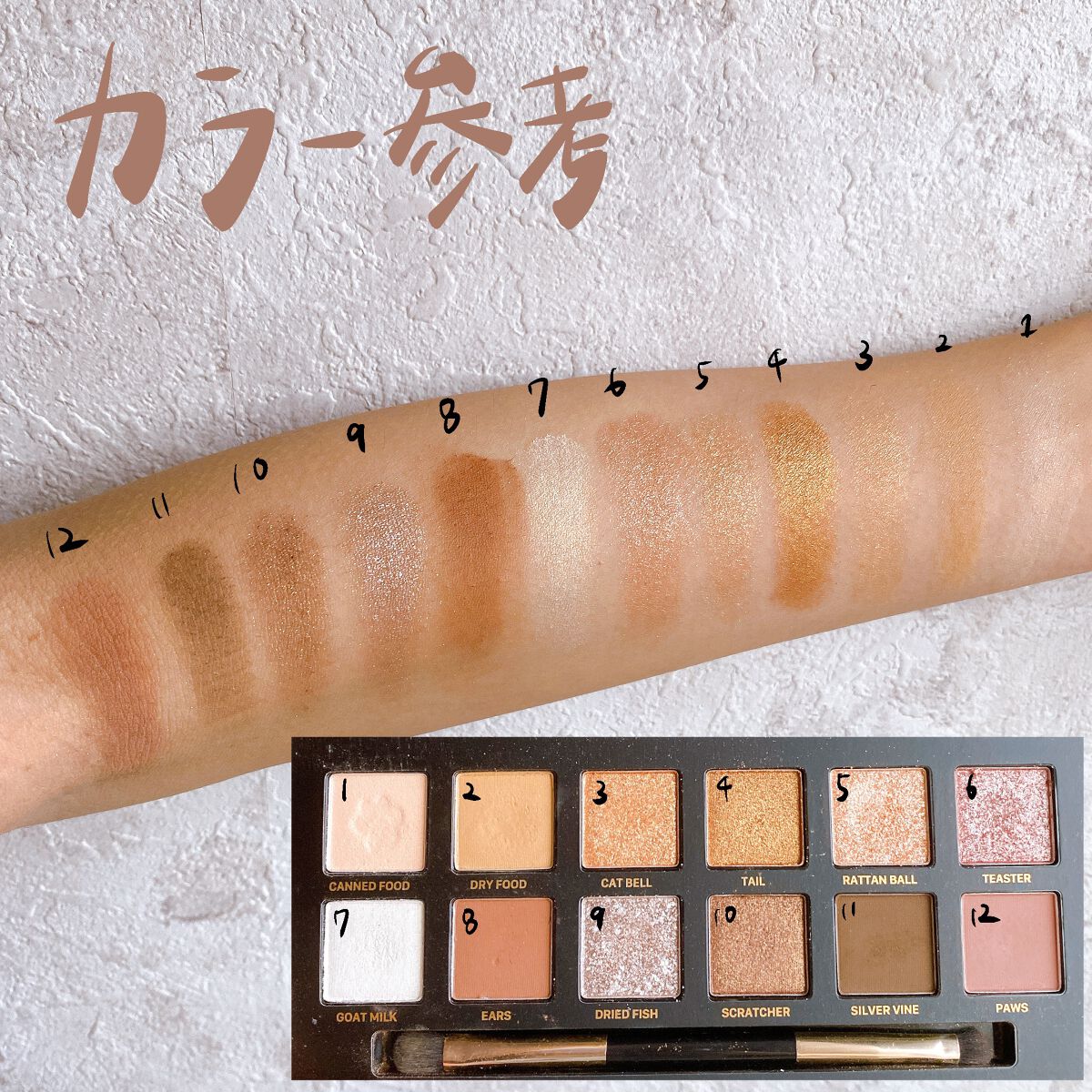 エクスプローラ12色 動物アイシャドウパレット/PERFECT DIARY/アイシャドウパレットを使ったクチコミ（2枚目）