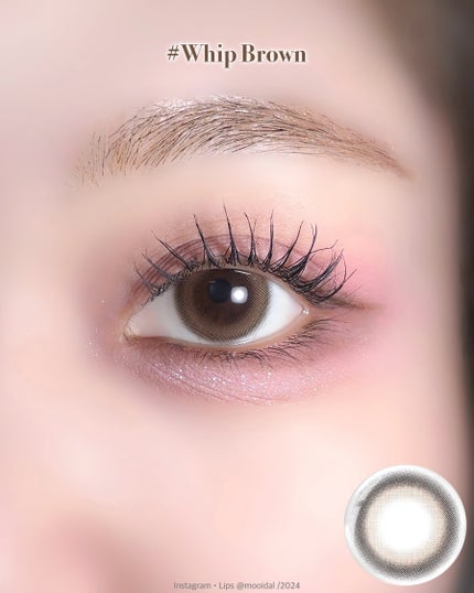 FALOOM 1DAY/FALOOM/ワンデー(1DAY)カラコンを使ったクチコミ(3枚目)