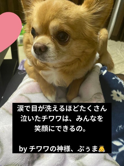 ドリームクリーム/ラッシュ/ボディローションを使ったクチコミ(6枚目)