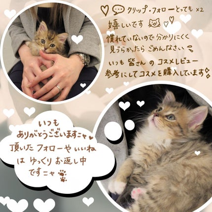 ディップイン グロウ クリームハイライター /DECORTÉ/クリームハイライトを使ったクチコミ(4枚目)