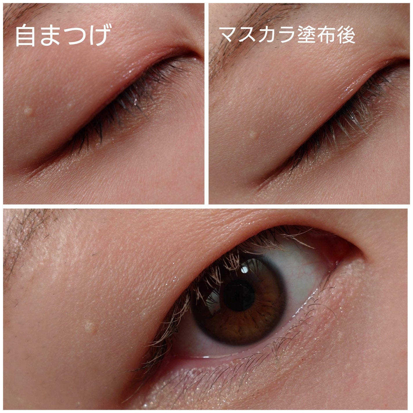 ã¢ãŽã¡ã³ã» ã¢ã€ãããŠãã¹ã«ã©ïŒã³ãŒã /ã¢ãŽã¡ã³ã»/çãã¹ã«ã©ã䜿ã£ãã¯ãã³ãïŒ5æç®ïŒ