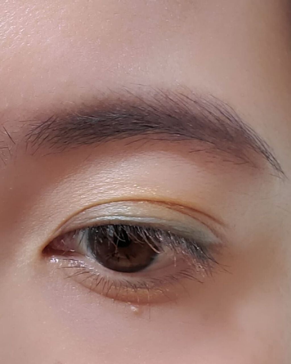 カラーリップスティック/アルジェラン/リップクリームを使ったクチコミ(5枚目)