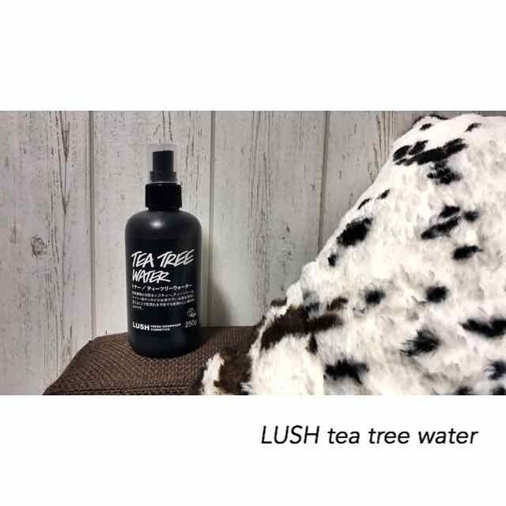 ティーツリーウォーター/ラッシュ/ミスト状化粧水を使ったクチコミ（1枚目）
