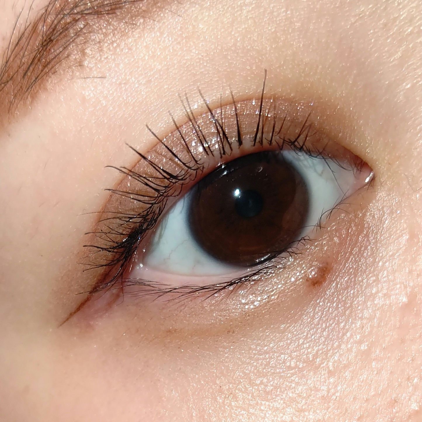 エテュセ アイエディション(ラッシュトップコート)/ettusais/マスカラトップコートを使ったクチコミ（3枚目）