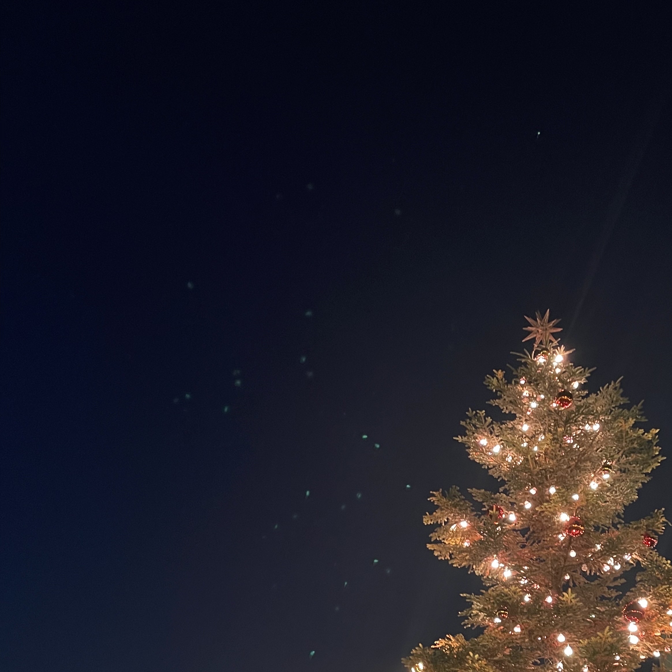 クラリファイング ローション 2/CLINIQUE/拭き取り化粧水を使ったクチコミ（1枚目）