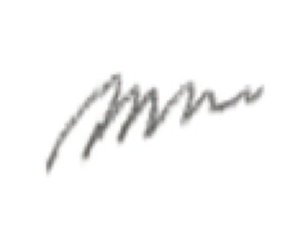 アイブロウ ダークブラウン