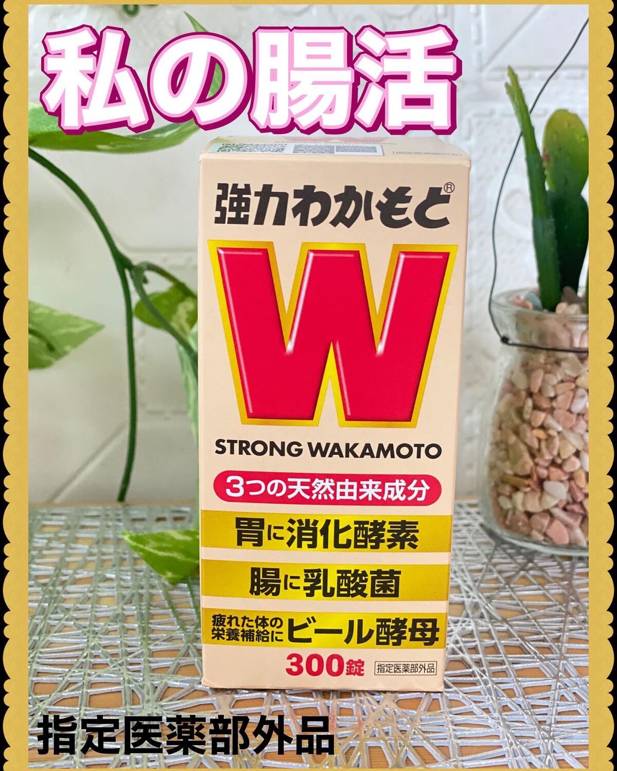 強力わかもと/わかもと製薬/健康サプリメントを使ったクチコミ（1枚目）