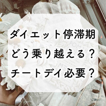 ウエイトダウン 50食分/ザバス/ボディサプリメントを使ったクチコミ（1枚目）