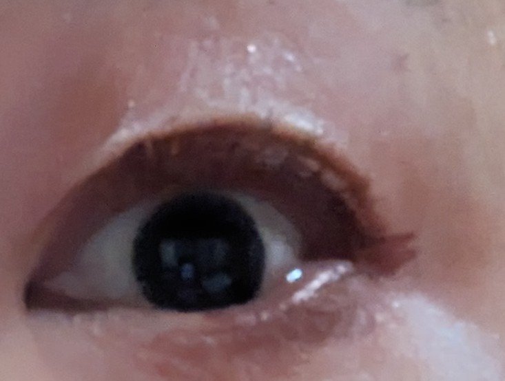 アイライナー/Étoile Rose/リキッドアイライナーを使ったクチコミ（2枚目）