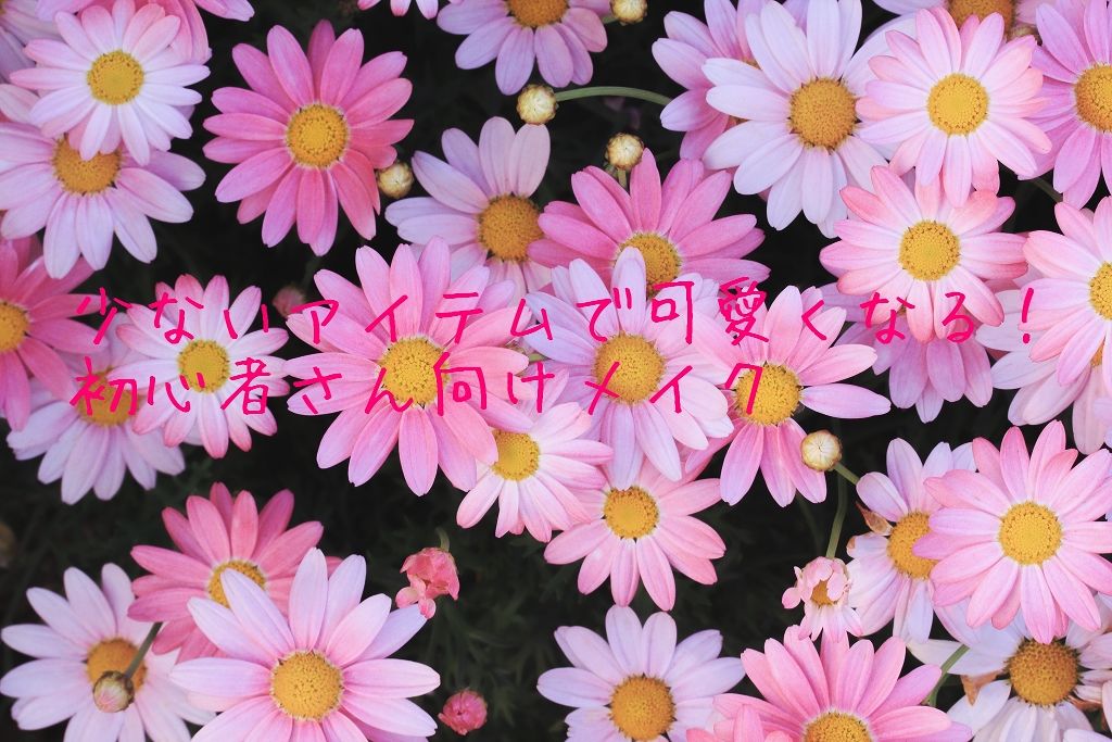 パーフェクトマルチアイズ/キャンメイク/アイシャドウパレットを使ったクチコミ（1枚目）