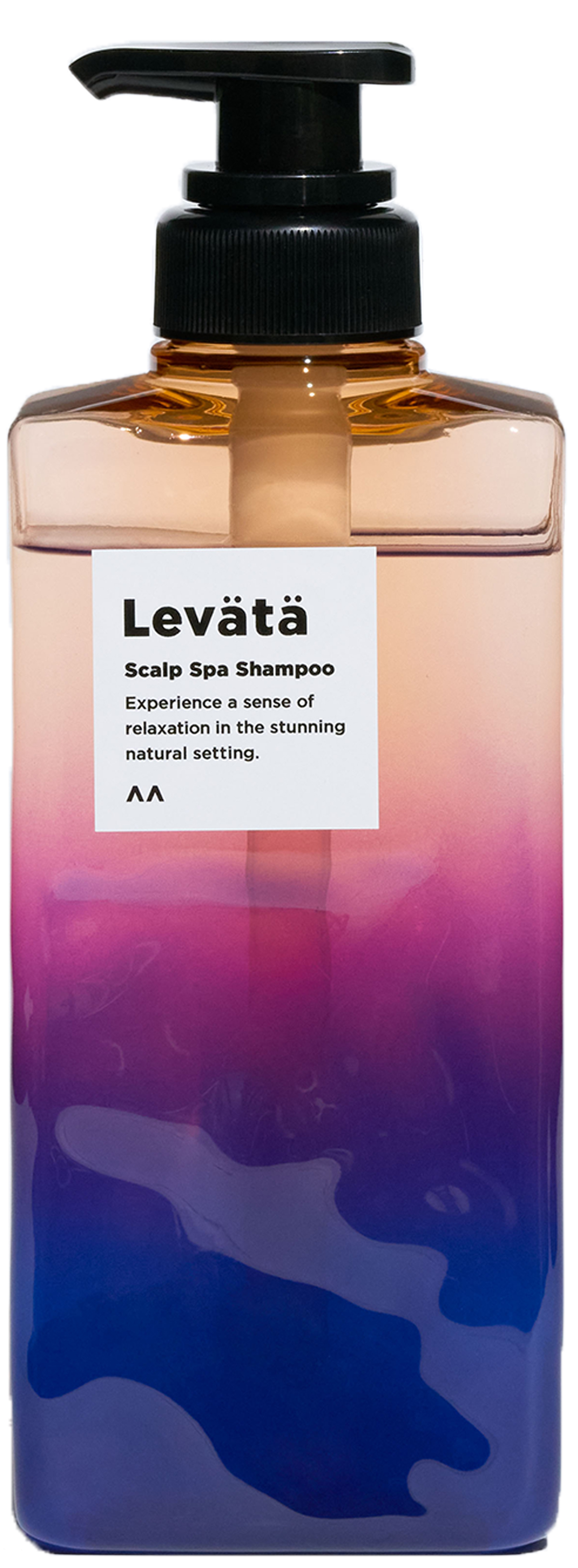 シャンプー本体（400ml）