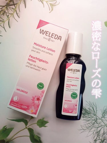 ワイルドローズ モイスチャーローション/WELEDA/化粧水を使ったクチコミ（1枚目）