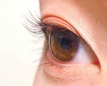 ショコラスウィート アイズ/リンメル ロンドン/アイシャドウパレットを使ったクチコミ(3枚目)