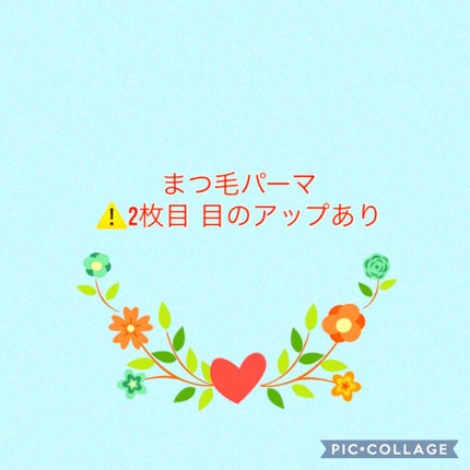 豆太 on LIPS 「⚠️2枚目以降目のアップあり✔️まつ毛パーマサロンでしてもらっ..」(1枚目)