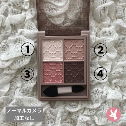 グロッシーリッチ アイズ N/Visée/アイシャドウパレットを使ったクチコミ(2枚目)