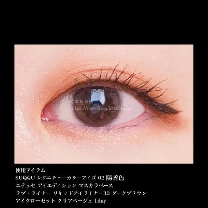 シグニチャー カラー アイズ/SUQQU/アイシャドウパレットを使ったクチコミ(6枚目)