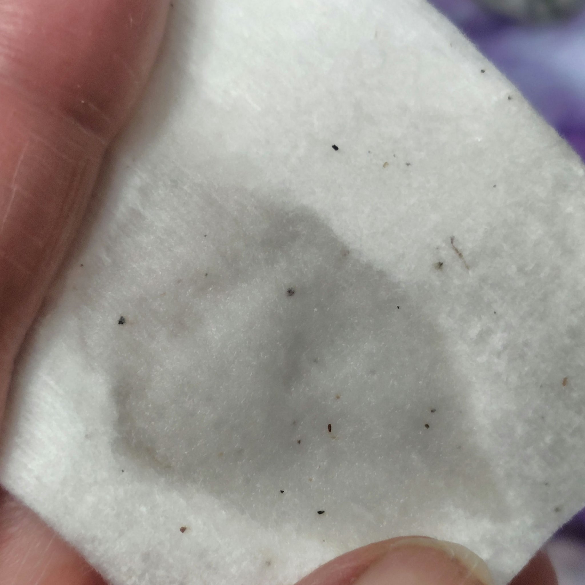 薬用マイルドローション/DHC/化粧水を使ったクチコミ（3枚目）