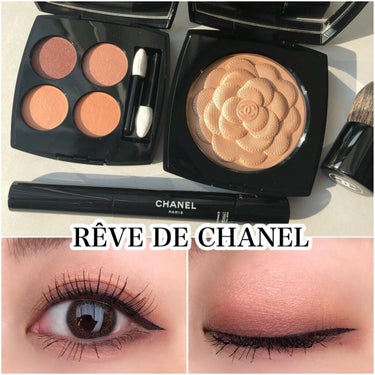 スティロ ルミエール ルガール/CHANEL/リキッドアイシャドウを使ったクチコミ（1枚目）