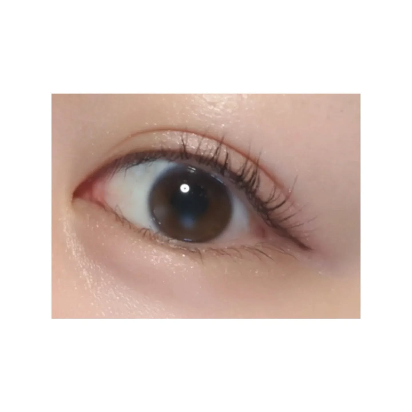 ペールトーンアイシャドウ/CEZANNE/アイシャドウを使ったクチコミ（3枚目）