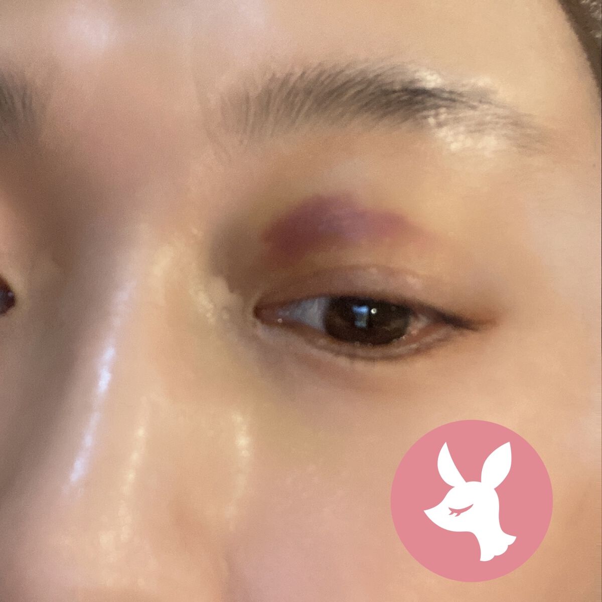 ラズル アイカラー 18 Leather/エレガンス ラズル /単色アイシャドウを使ったクチコミ（2枚目）