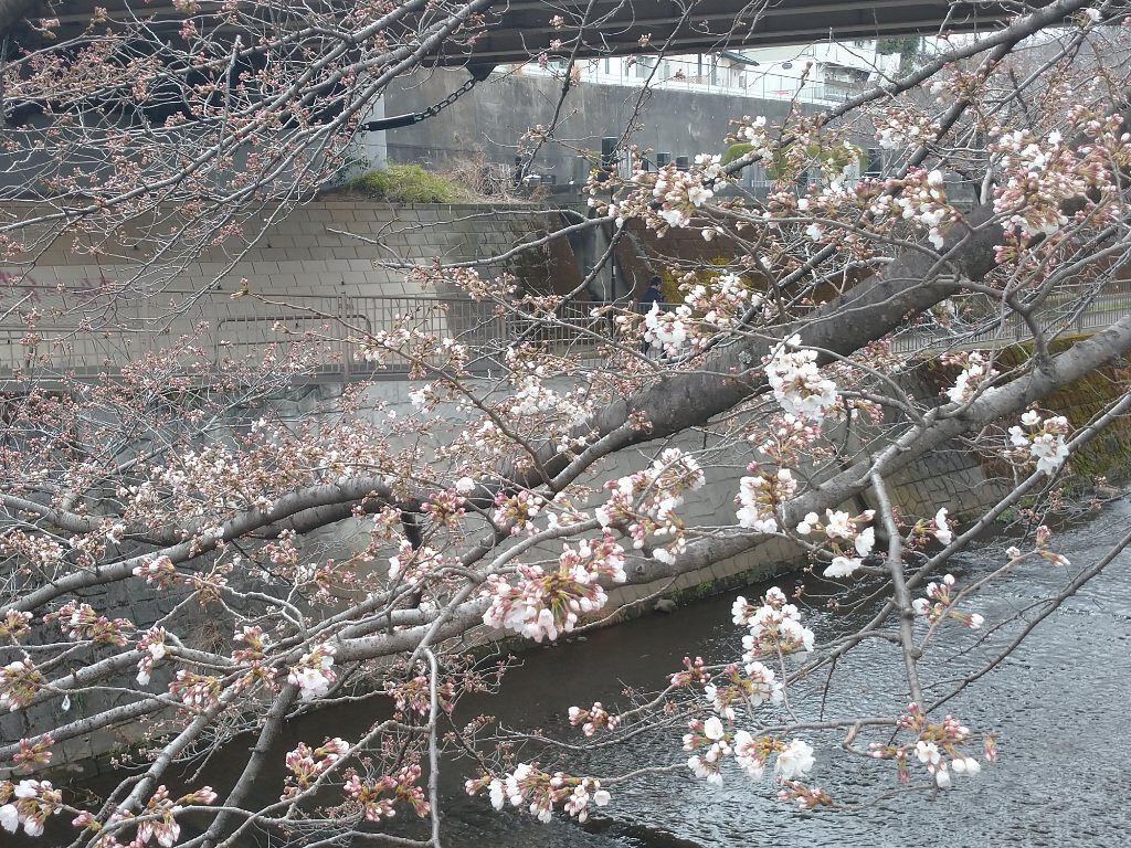 アイシャドウパレット/U R GLAM/アイシャドウパレットを使ったクチコミ（3枚目）