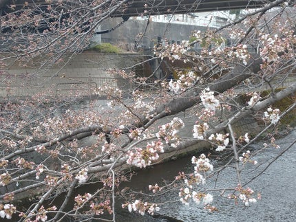 UR GLAM BLOOMING EYE COLOR PALETTE/U R GLAM/アイシャドウパレットを使ったクチコミ(3枚目)