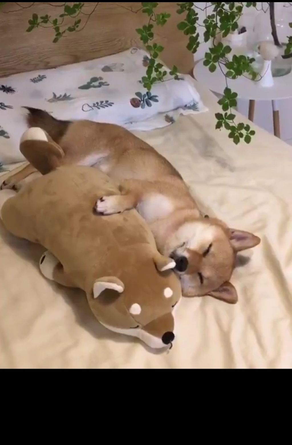 ニベアクリーム/ニベア/ボディクリームを使ったクチコミ（1枚目）