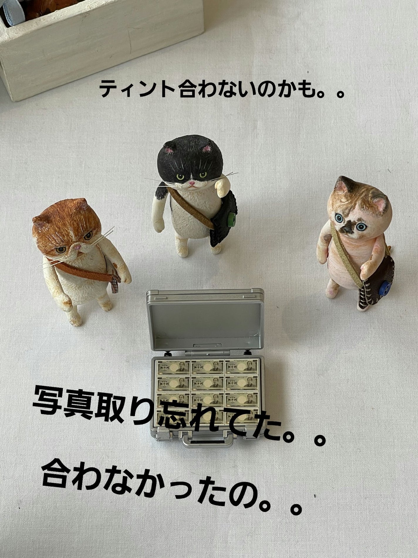 JUDYDOLL 果実茶ティントリップ/JUDYDOLL/リップティントを使ったクチコミ(1枚目)