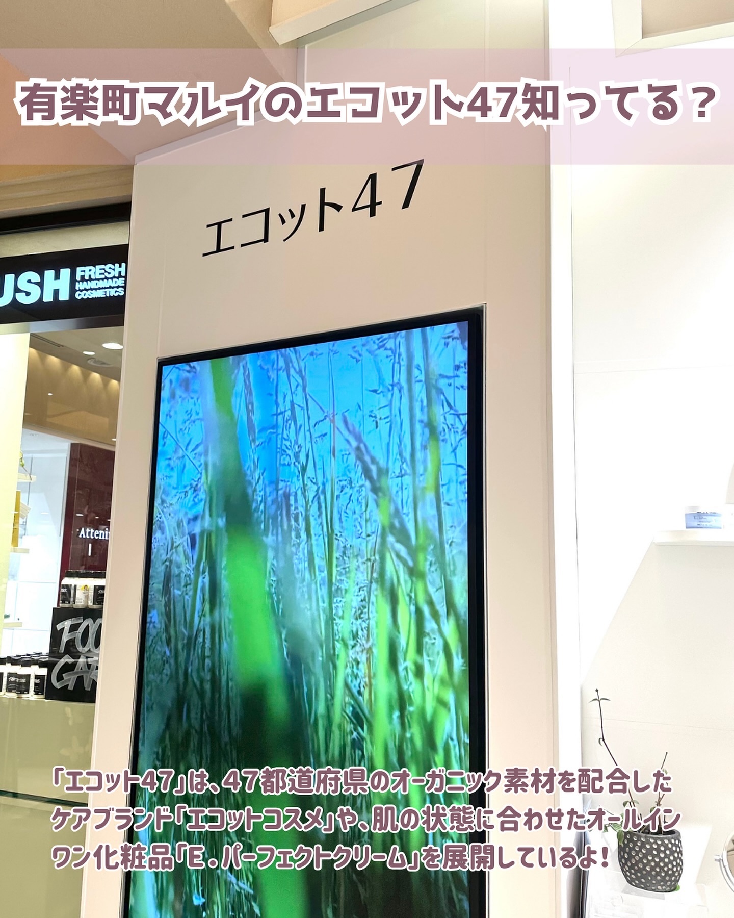 ホットクレンジングバーム ノワール/EGOIPSE/クレンジングバームを使ったクチコミ（2枚目）