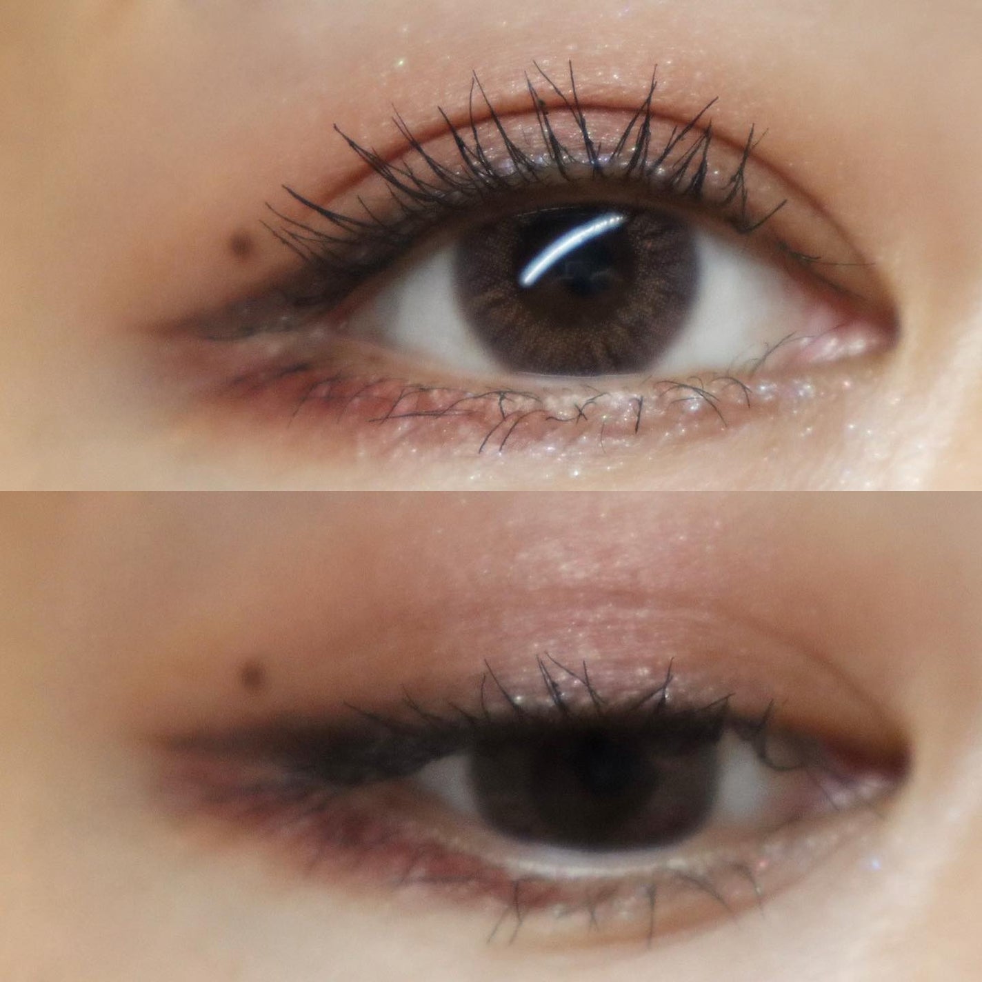 シグニチャー カラー アイズ/SUQQU/アイシャドウパレットを使ったクチコミ(8枚目)