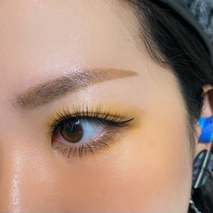 エクスプローラ12色 動物アイシャドウパレット 虎/PERFECT DIARY/アイシャドウパレットを使ったクチコミ(3枚目)