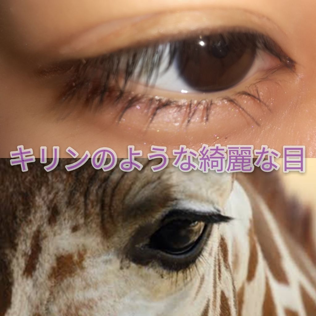 プライベートビューティーロング＆カールマスカラ/富士薬品/マスカラを使ったクチコミ（1枚目）