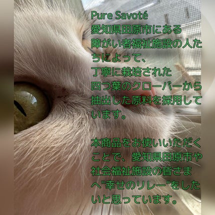 ハピハピ洗顔ソープ/The Elements/洗顔石鹸を使ったクチコミ(6枚目)