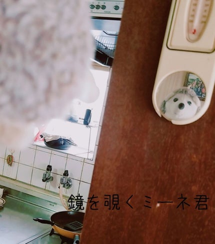 オードムーゲ 薬用ローション(ふきとり化粧水)/オードムーゲ/拭き取り化粧水を使ったクチコミ(4枚目)