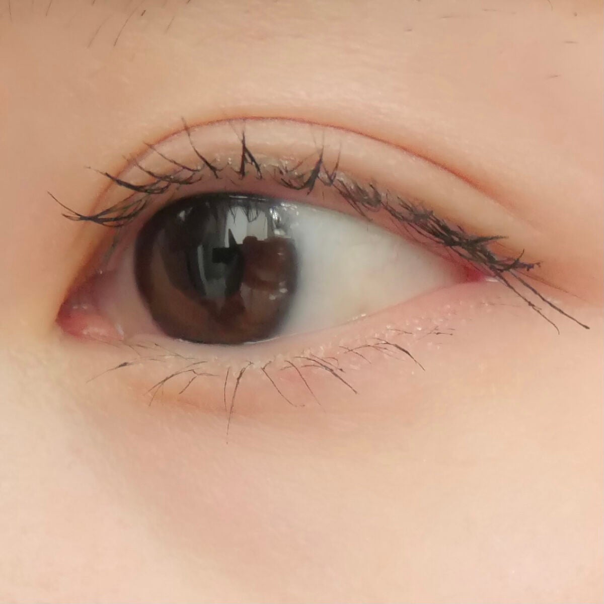 ビューティーアップマスカラ/PHOEBE BEAUTY UP/マスカラを使ったクチコミ(5枚目)