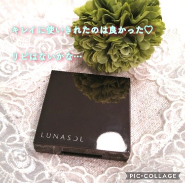 アイリッドベース（N）/LUNASOL/アイシャドウベースを使ったクチコミ（3枚目）