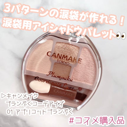 プランぷくコーデアイズ/キャンメイク/パウダーアイシャドウを使ったクチコミ(1枚目)